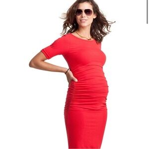 Isabella Oliver Maternity Dress
